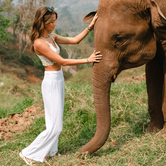 White Wide Leg Cotton Pants